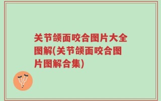 关节颌面咬合图片大全图解(关节颌面咬合图片图解合集)