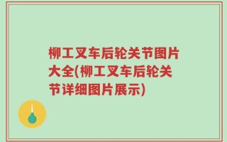 柳工叉车后轮关节图片大全(柳工叉车后轮关节详细图片展示)