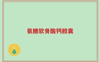 氨糖软骨酸钙胶囊