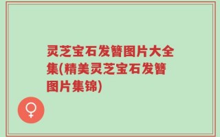 灵芝宝石发簪图片大全集(精美灵芝宝石发簪图片集锦)