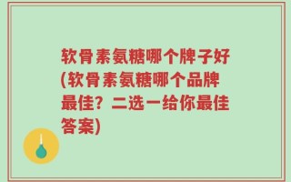 软骨素氨糖哪个牌子好(软骨素氨糖哪个品牌最佳？二选一给你最佳答案)