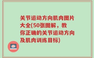 关节运动方向肌肉图片大全(50张图解，教你正确的关节运动方向及肌肉训练目标)