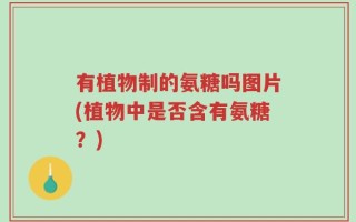 有植物制的氨糖吗图片(植物中是否含有氨糖？)