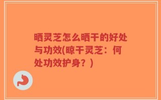 晒灵芝怎么晒干的好处与功效(晾干灵芝：何处功效护身？)