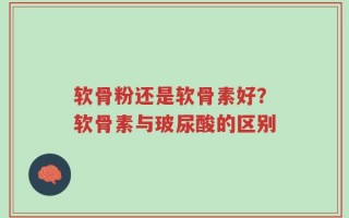 软骨粉还是软骨素好？软骨素与玻尿酸的区别