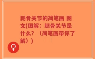 腿骨关节的简笔画 图文(图解：腿骨关节是什么？（简笔画带你了解）)