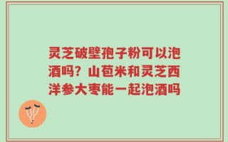 灵芝破壁孢子粉可以泡酒吗？山苞米和灵芝西洋参大枣能一起泡酒吗