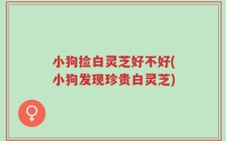 小狗捡白灵芝好不好(小狗发现珍贵白灵芝)