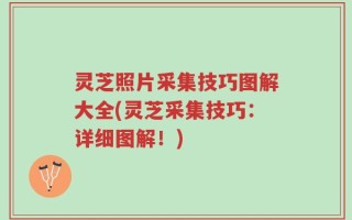 灵芝照片采集技巧图解大全(灵芝采集技巧：详细图解！)