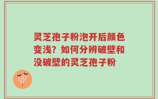灵芝孢子粉泡开后颜色变浅？如何分辨破壁和没破壁的灵芝孢子粉