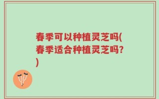 春季可以种植灵芝吗(春季适合种植灵芝吗？)
