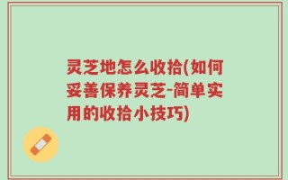 灵芝地怎么收拾(如何妥善保养灵芝-简单实用的收拾小技巧)