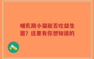 哺乳期小猫能否吃益生菌？这里有你想知道的