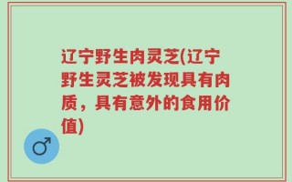 辽宁野生肉灵芝(辽宁野生灵芝被发现具有肉质，具有意外的食用价值)