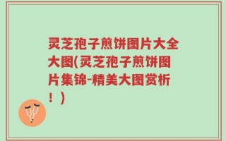 灵芝孢子煎饼图片大全大图(灵芝孢子煎饼图片集锦-精美大图赏析！)