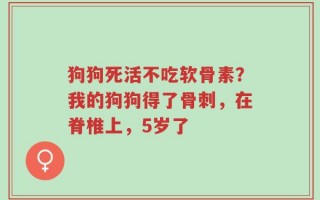 狗狗死活不吃软骨素？我的狗狗得了骨刺，在脊椎上，5岁了