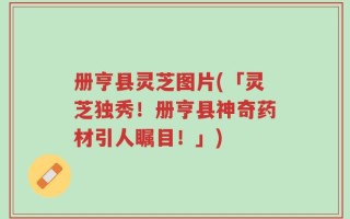 册亨县灵芝图片(「灵芝独秀！册亨县神奇药材引人瞩目！」)