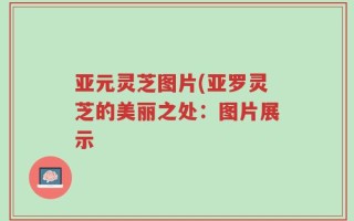 亚元灵芝图片(亚罗灵芝的美丽之处：图片展示
