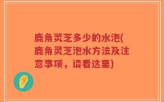 鹿角灵芝多少的水泡(鹿角灵芝泡水方法及注意事项，请看这里)