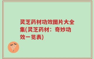 灵芝药材功效图片大全集(灵芝药材：奇妙功效一览表)