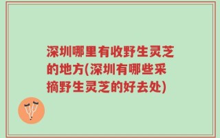 深圳哪里有收野生灵芝的地方(深圳有哪些采摘野生灵芝的好去处)