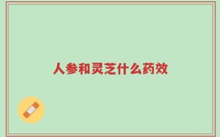 人参和灵芝什么药效