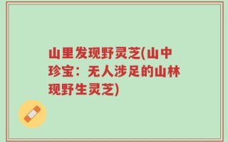 山里发现野灵芝(山中珍宝：无人涉足的山林现野生灵芝)