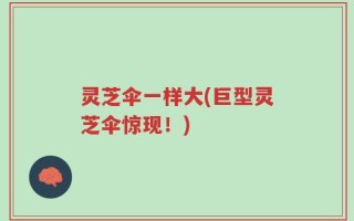 灵芝伞一样大(巨型灵芝伞惊现！)