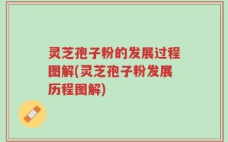 灵芝孢子粉的发展过程图解(灵芝孢子粉发展历程图解)