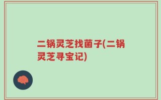 二锅灵芝找菌子(二锅灵芝寻宝记)