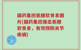 国药集团氨糖软骨素图片(国药集团推出氨糖软骨素，有效预防关节疾病)