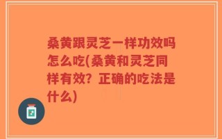 桑黄跟灵芝一样功效吗怎么吃(桑黄和灵芝同样有效？正确的吃法是什么)