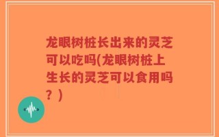 龙眼树桩长出来的灵芝可以吃吗(龙眼树桩上生长的灵芝可以食用吗？)