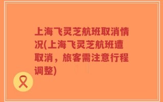 上海飞灵芝航班取消情况(上海飞灵芝航班遭取消，旅客需注意行程调整)