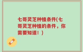 七哥灵芝种植条件(七哥灵芝种植的条件，你需要知道！)