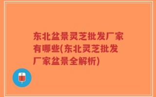 东北盆景灵芝批发厂家有哪些(东北灵芝批发厂家盆景全解析)