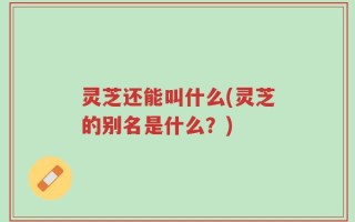 灵芝还能叫什么(灵芝的别名是什么？)