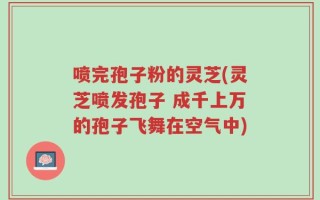 喷完孢子粉的灵芝(灵芝喷发孢子 成千上万的孢子飞舞在空气中)
