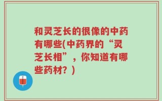 和灵芝长的很像的中药有哪些(中药界的“灵芝长相”，你知道有哪些药材？)