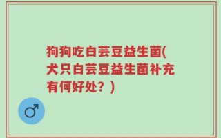 狗狗吃白芸豆益生菌(犬只白芸豆益生菌补充有何好处？)