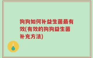 狗狗如何补益生菌最有效(有效的狗狗益生菌补充方法)