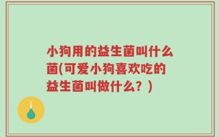 小狗用的益生菌叫什么菌(可爱小狗喜欢吃的益生菌叫做什么？)