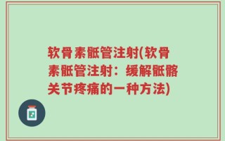 软骨素骶管注射(软骨素骶管注射：缓解骶髂关节疼痛的一种方法)