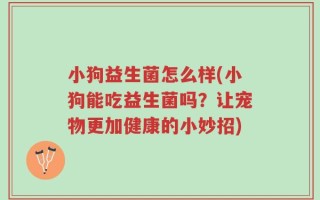 小狗益生菌怎么样(小狗能吃益生菌吗？让宠物更加健康的小妙招)