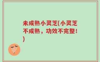未成熟小灵芝(小灵芝不成熟，功效不完整！)