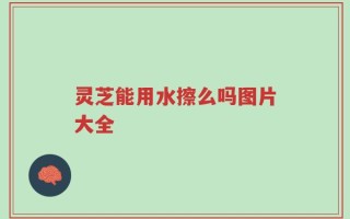 灵芝能用水擦么吗图片大全