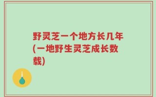 野灵芝一个地方长几年(一地野生灵芝成长数载)