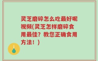 灵芝磨碎怎么吃最好呢视频(灵芝怎样磨碎食用最佳？教您正确食用方法！)