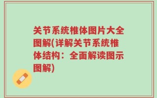 关节系统椎体图片大全图解(详解关节系统椎体结构：全面解读图示图解)