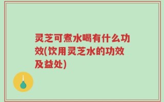 灵芝可煮水喝有什么功效(饮用灵芝水的功效及益处)